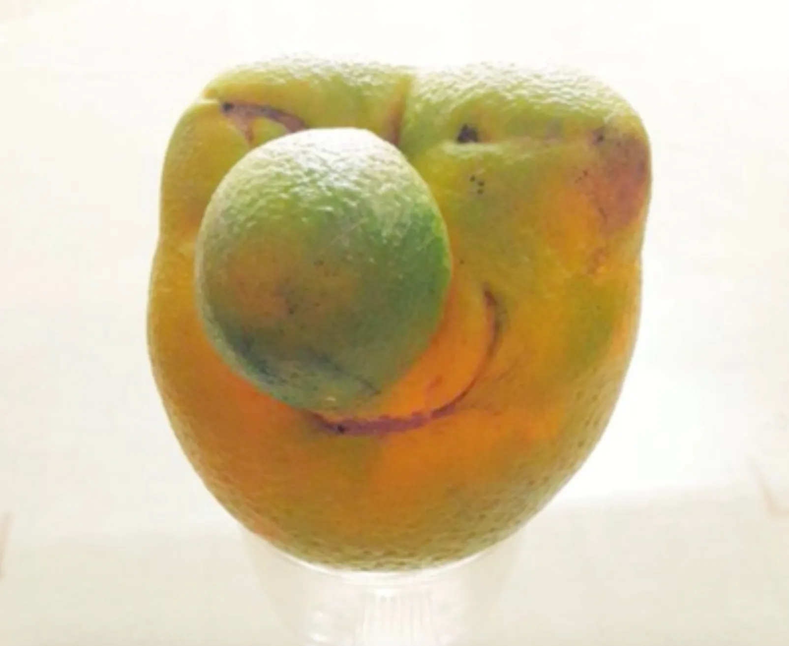 Change.org: Fighting Food Waste with "Ugly Fruit" Campaign