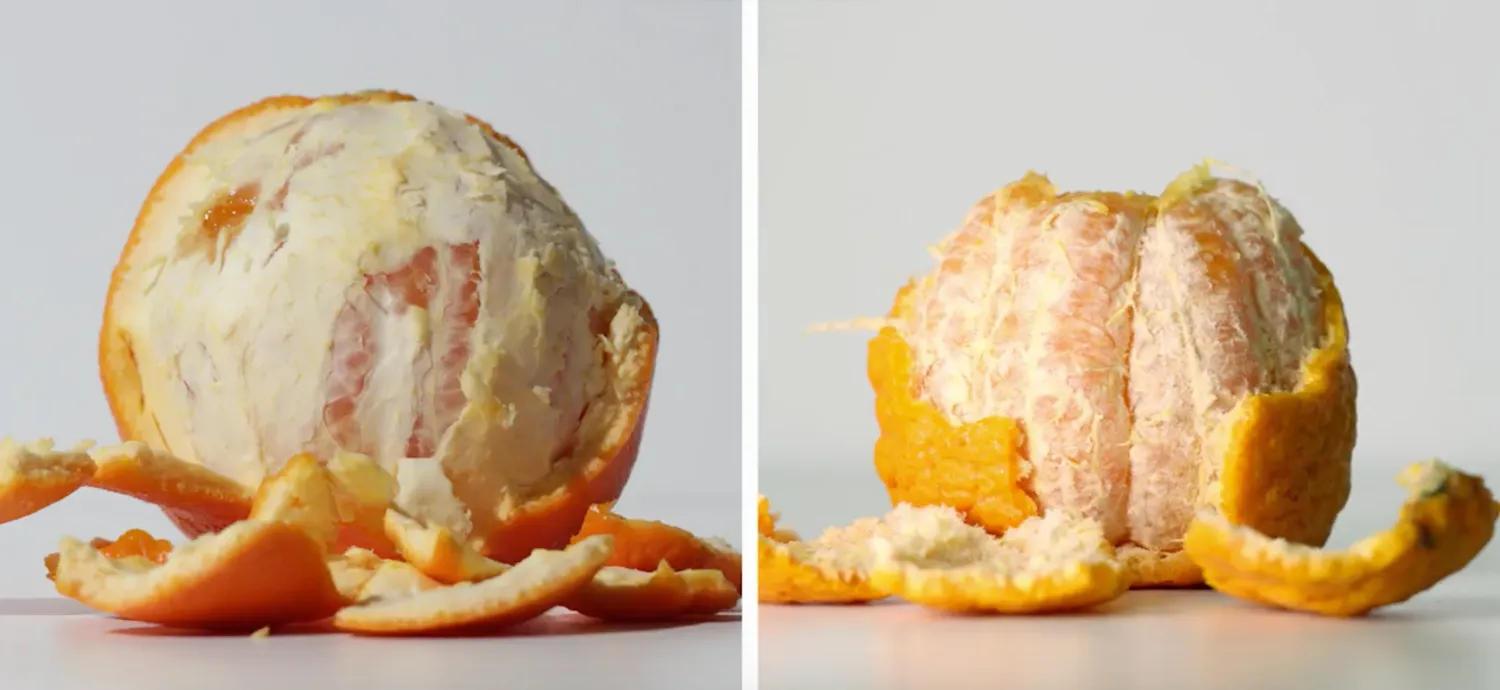 Change.org: Fighting Food Waste with "Ugly Fruit" Campaign
